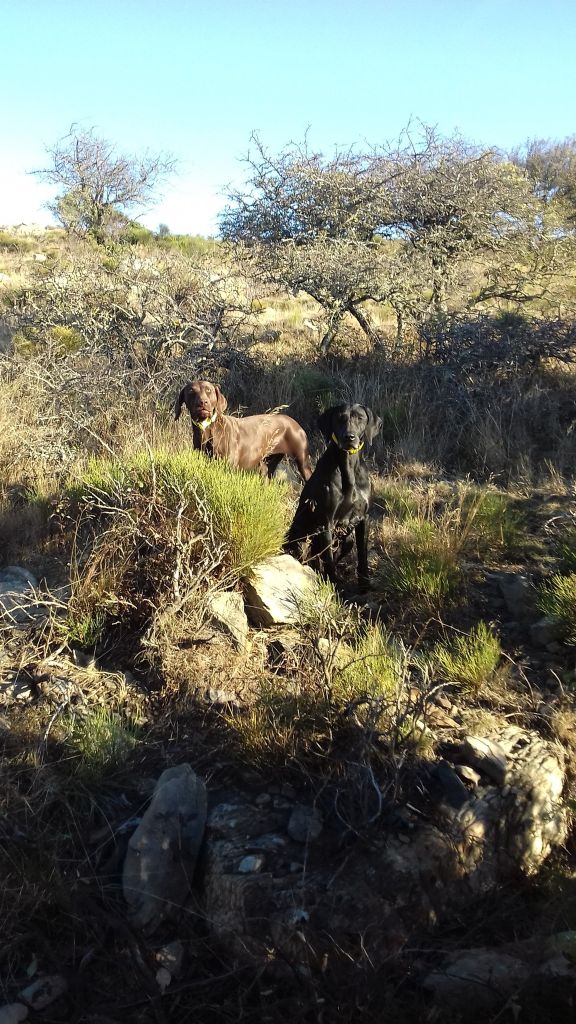 Publication : du domaine du framire Auteur : ARMANDO GONCALVES