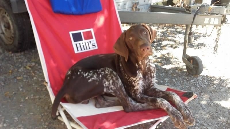 CH. Fiona (Sans Affixe)