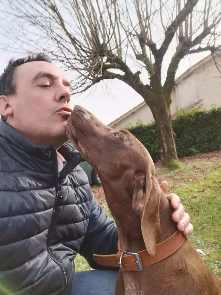 Publication : du domaine du framire Auteur : ARMANDO GONCALVES