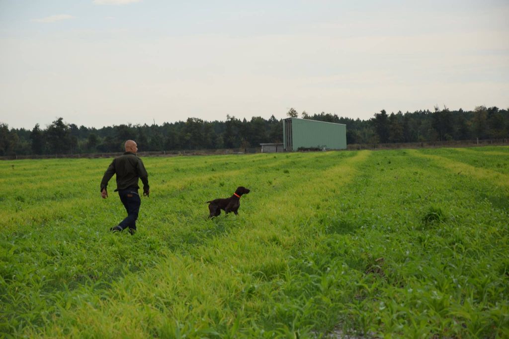 Publication : du domaine du framire Auteur : ARMANDO GONCALVES