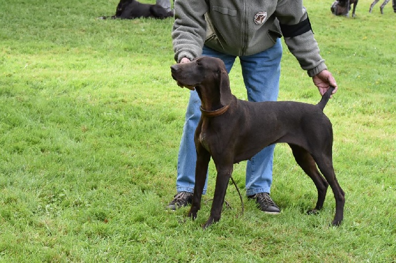 Ida du domaine du framire