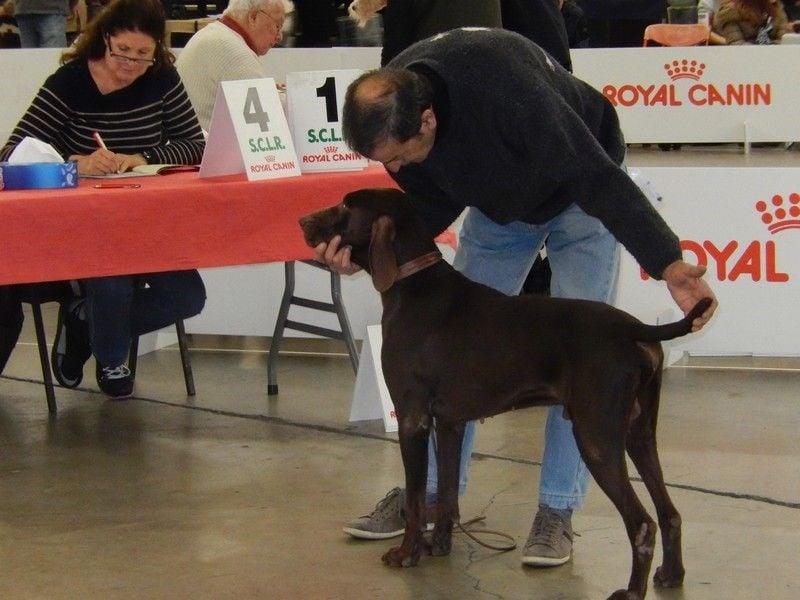 CH. Champion du domaine du framire