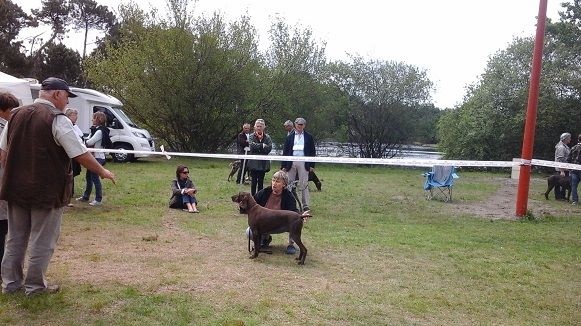 CH. Champion du domaine du framire