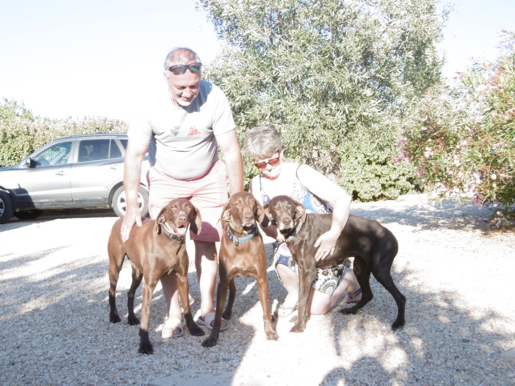 Publication : du domaine du framire Auteur : ARMANDO GONCALVES