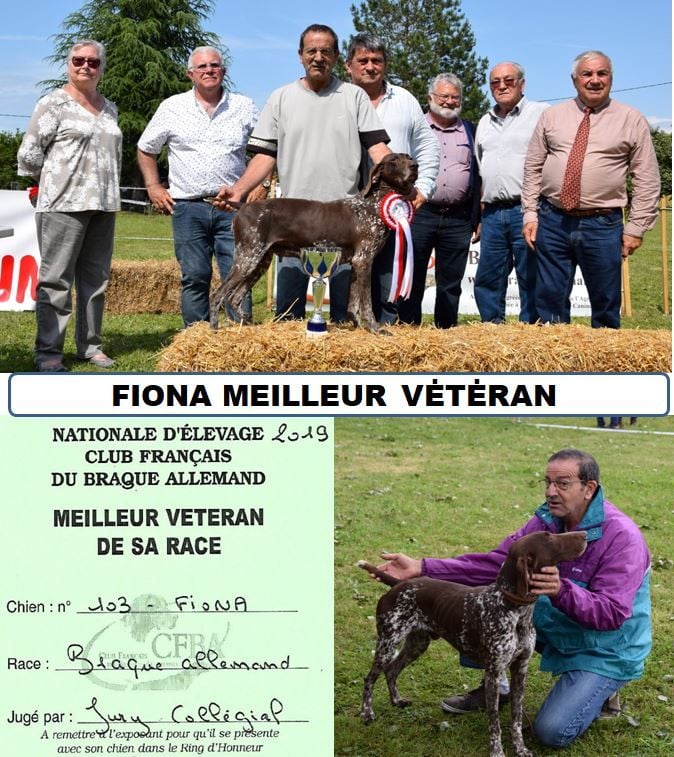 Publication : du domaine du framire Auteur : ARMANDO GONCALVES