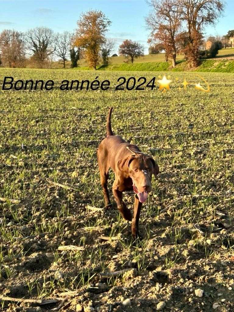 Publication : du domaine du framire Auteur : ARMANDO GONCALVES