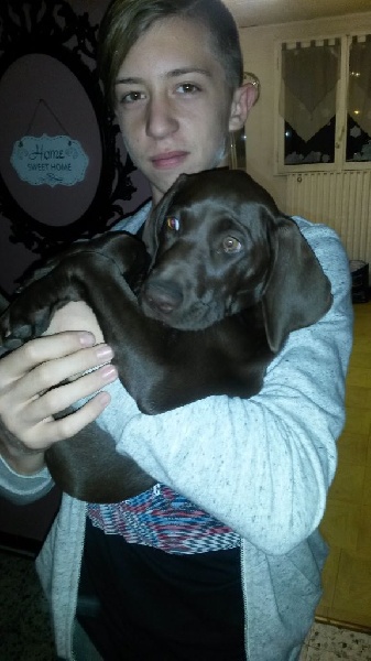 CH. Fiona (Sans Affixe)