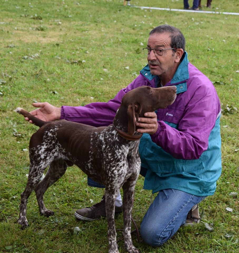 Publication : du domaine du framire Auteur : ARMANDO GONCALVES