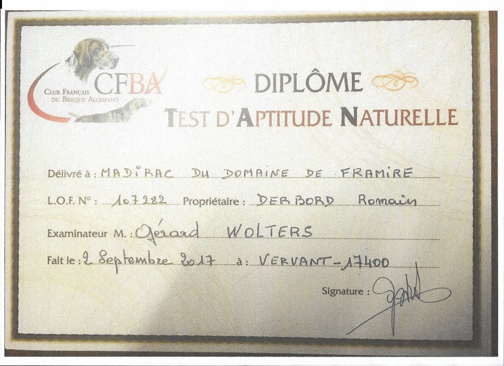 CH. Fiona (Sans Affixe)