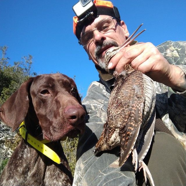 CH. Fiona (Sans Affixe)