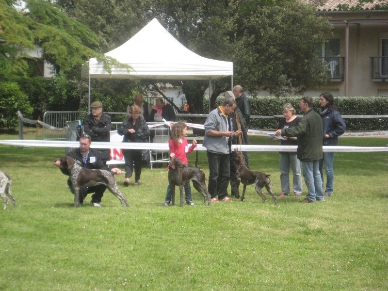 CH. Fiona (Sans Affixe)