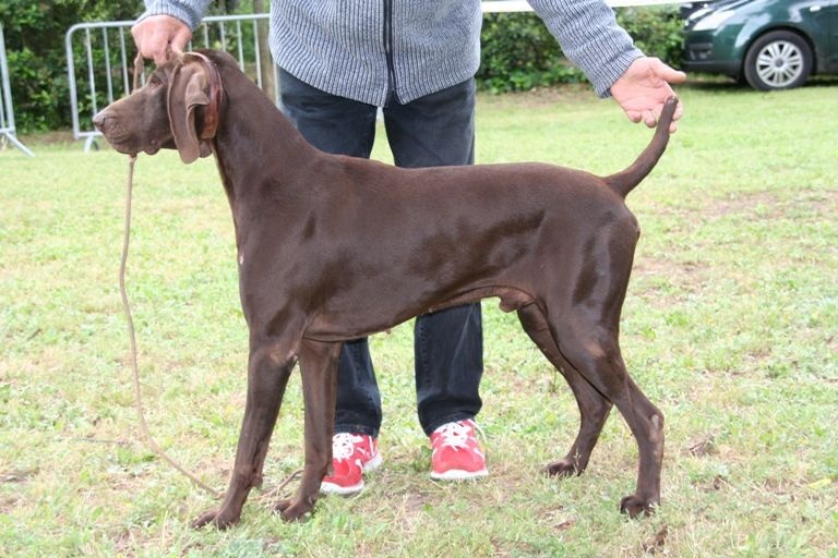 CH. Champion du domaine du framire