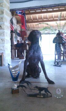 CH. Fiona (Sans Affixe)