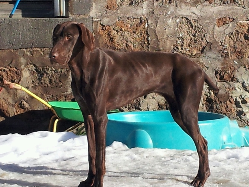 CH. Champion du domaine du framire