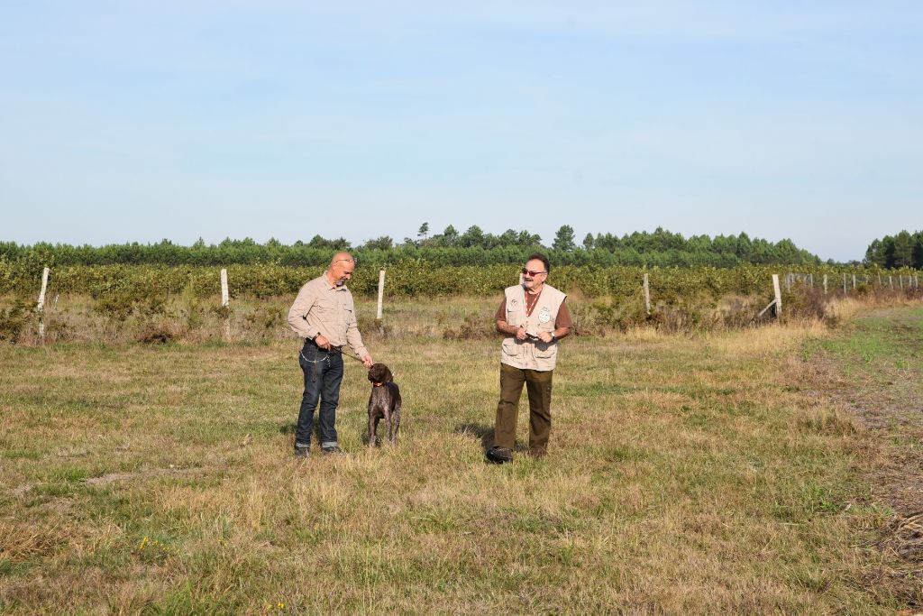 Publication : du domaine du framire Auteur : ARMANDO GONCALVES