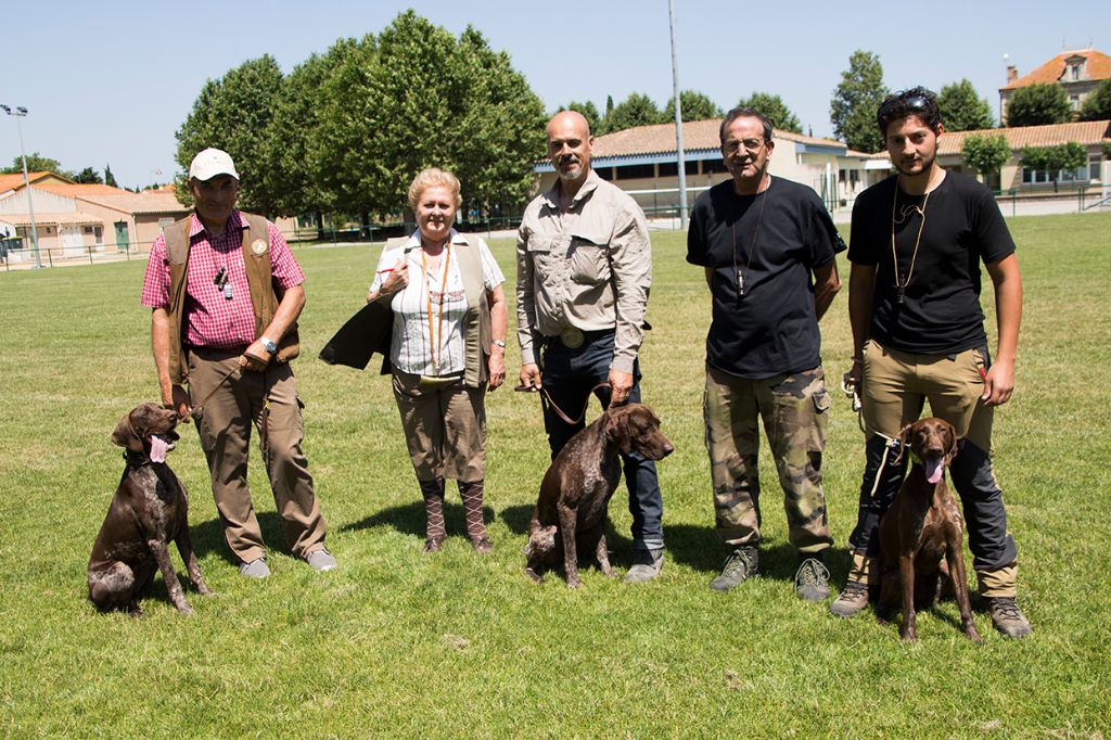 CH. Fiona (Sans Affixe)