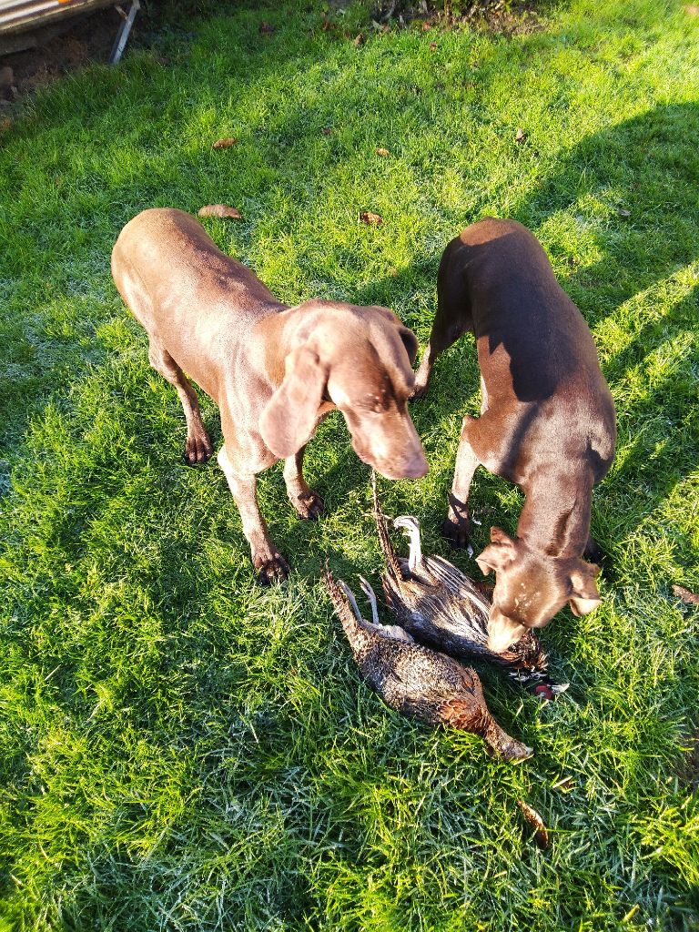 CH. Champion du domaine du framire