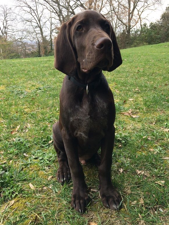 Ida du domaine du framire