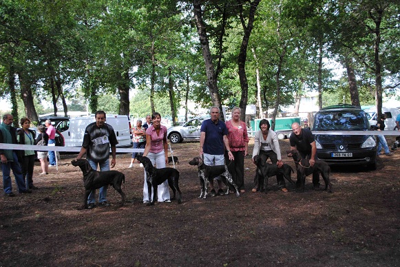 CH. Champion du domaine du framire