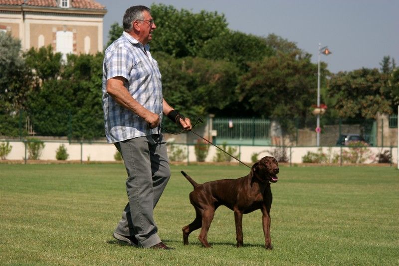 Publication : du domaine du framire Auteur : ARMANDO GONCALVES