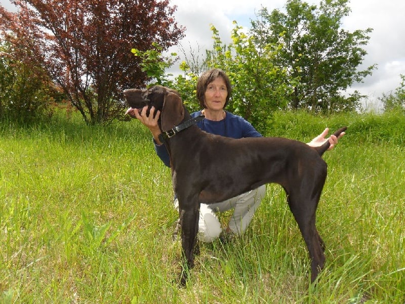 CH. Champion du domaine du framire