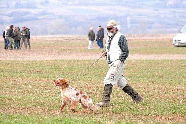 Publication : du mas du zouave Auteur : Alain Dampérat