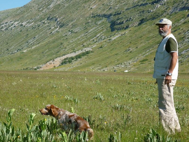 Publication : du mas du zouave Auteur : Alain Dampérat