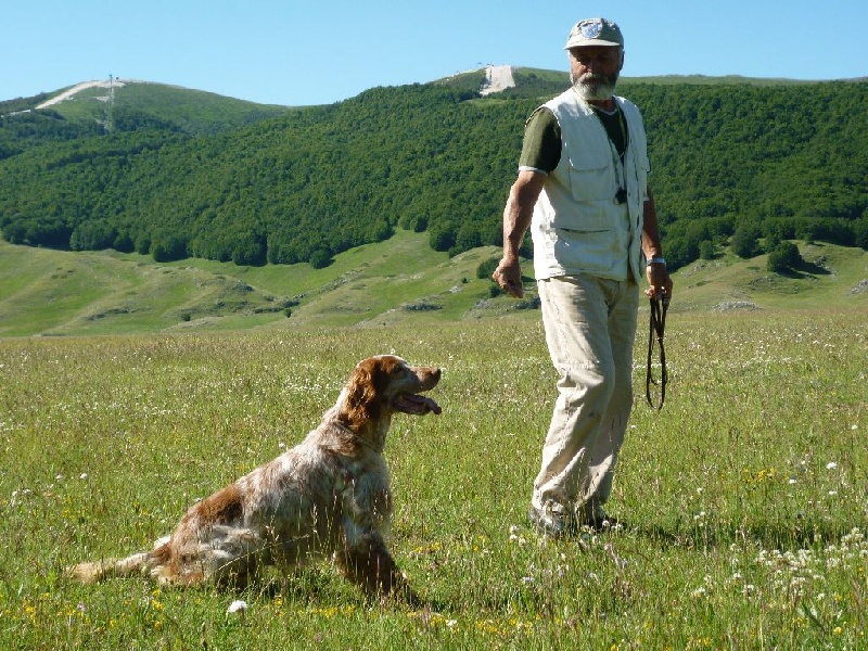 Publication : du mas du zouave Auteur : Alain Dampérat