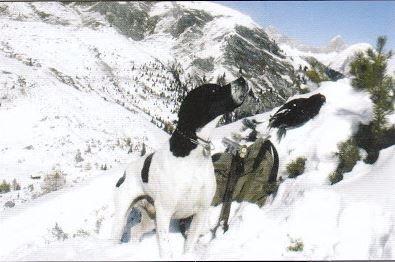 Publication : De la draio di becassie