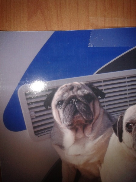 Publication : des Jardins de Campreal