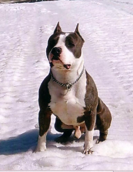 Publication : de la caverne des cerbères