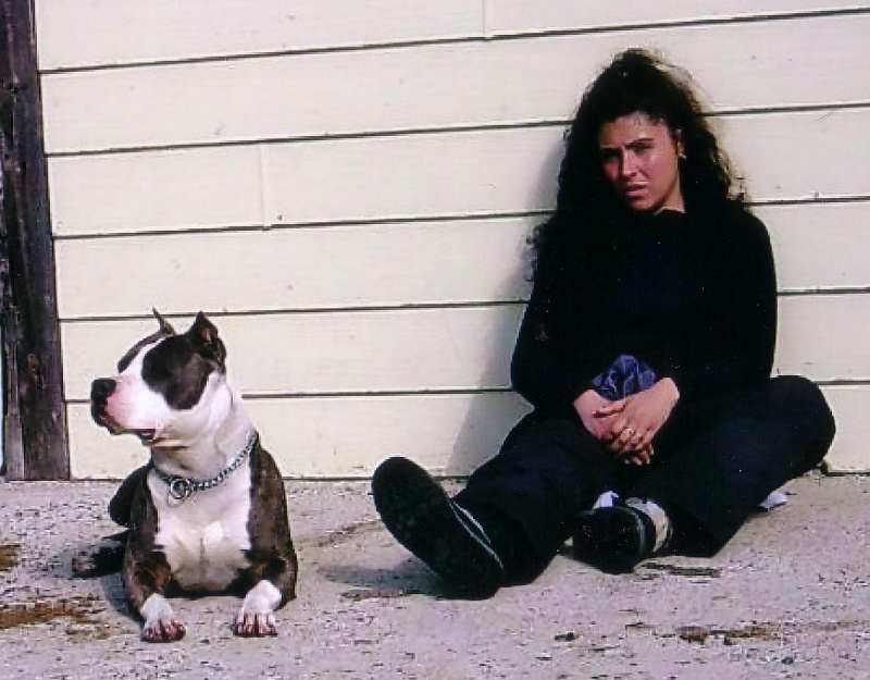 Publication : de la caverne des cerbères