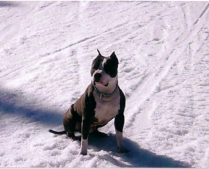 Publication : de la caverne des cerbères