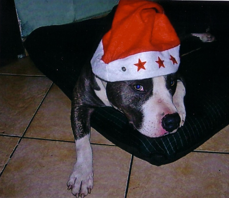 Publication : de la caverne des cerbères