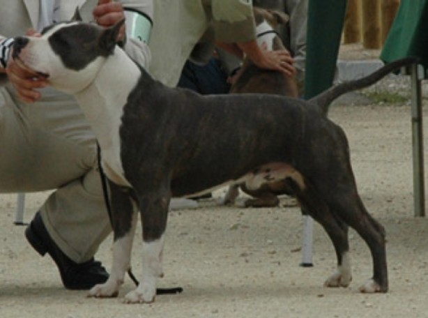 Publication : de la caverne des cerbères