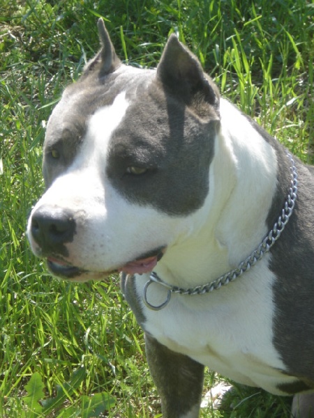 Publication : de la caverne des cerbères