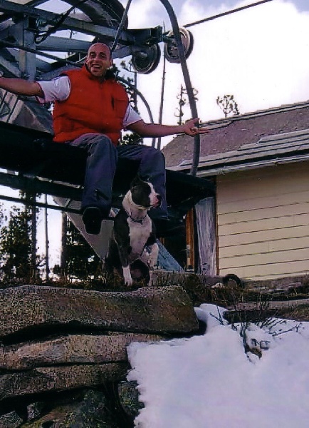 Publication : de la caverne des cerbères