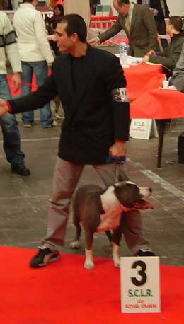 Vulcain de la caverne des cerbères - 3ième Excellent Classe Ouverte