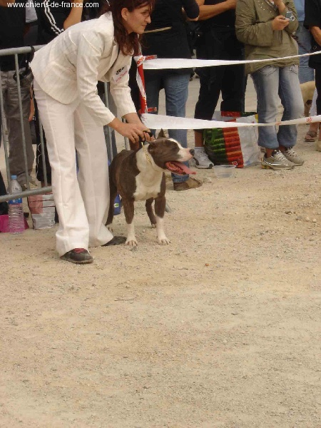 Vulcain de la caverne des cerbères - excellent classe ouverte