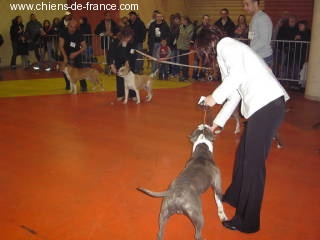 Vulcain de la caverne des cerbères - 1er excellent classe intermédiaire