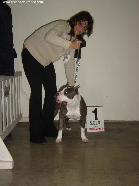 Vulcain de la caverne des cerbères - 1er excellent classe intermédiaire