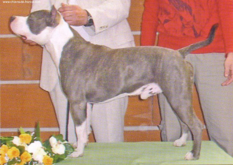 Vulcain de la caverne des cerbères - 1er excellent calsse intermédiaire