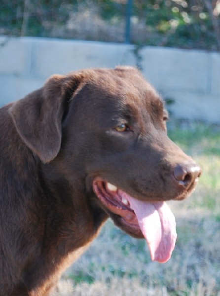 Faith of park heaven