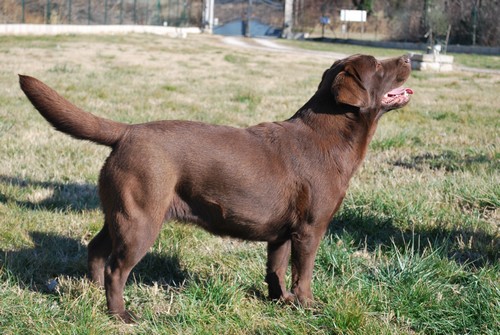 Faith of park heaven