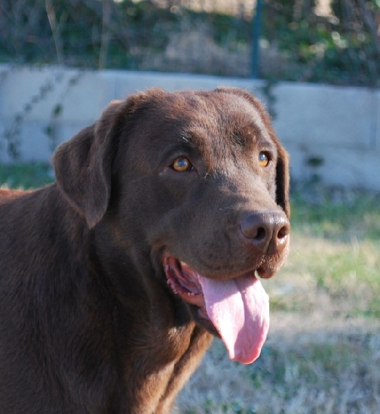 Faith of park heaven