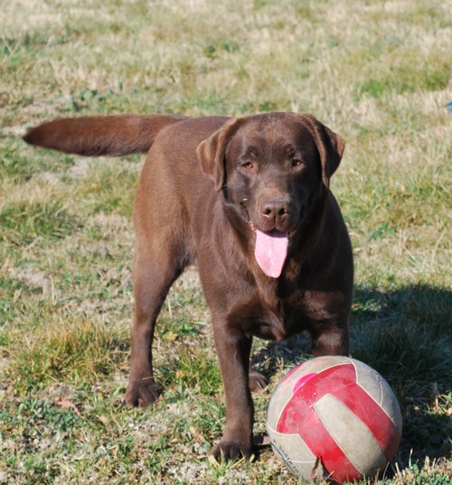 Faith of park heaven