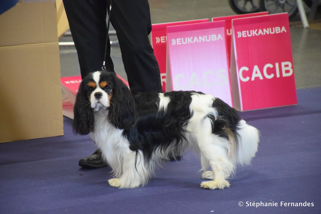 Publication : du domaine de la Vareze Auteur : DOMAINE DE LA VAREZE