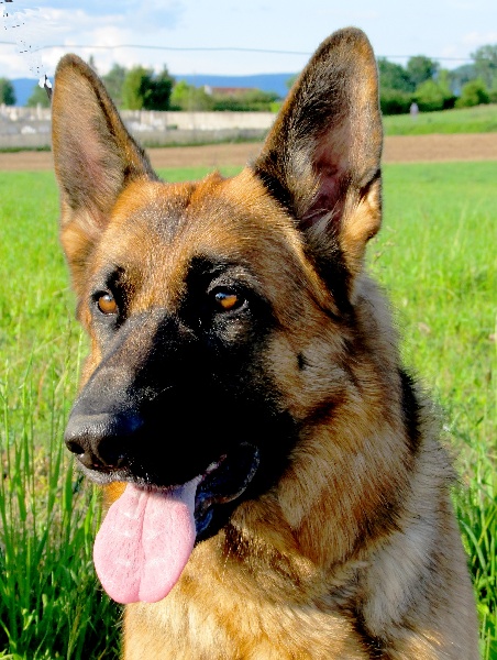 Publication : du domaine de la Vareze Auteur : Claudette MARTUREL