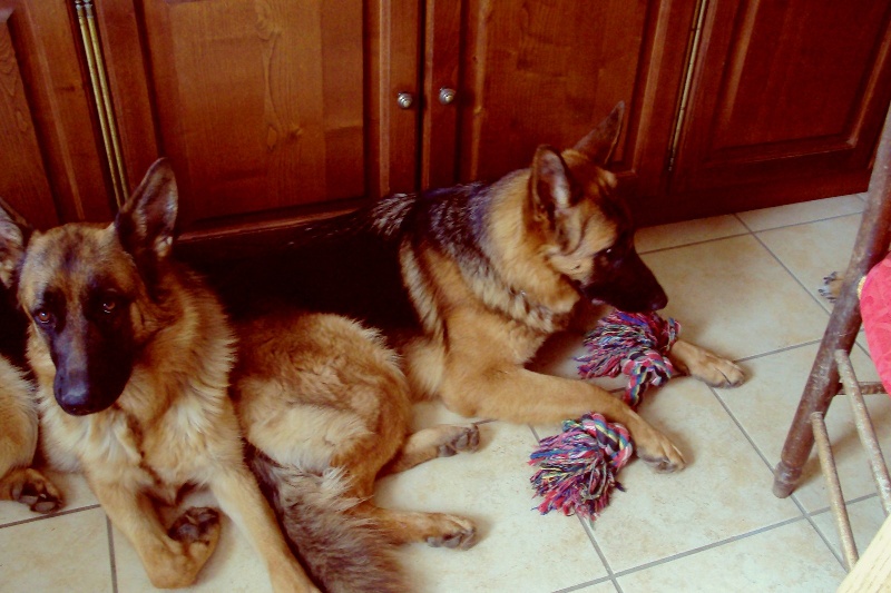 Publication : du domaine de la Vareze Auteur : Claudette MARTUREL