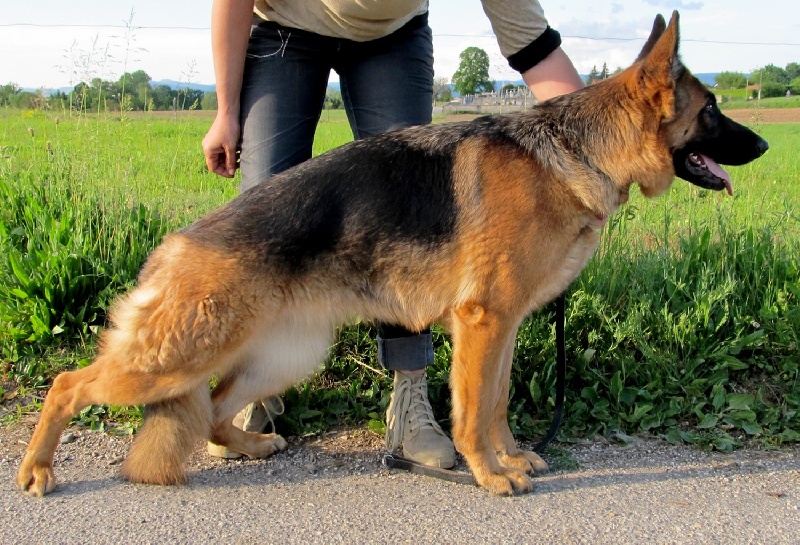 Publication : du domaine de la Vareze Auteur : Claudette MARTUREL